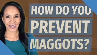 How do you prevent maggots?