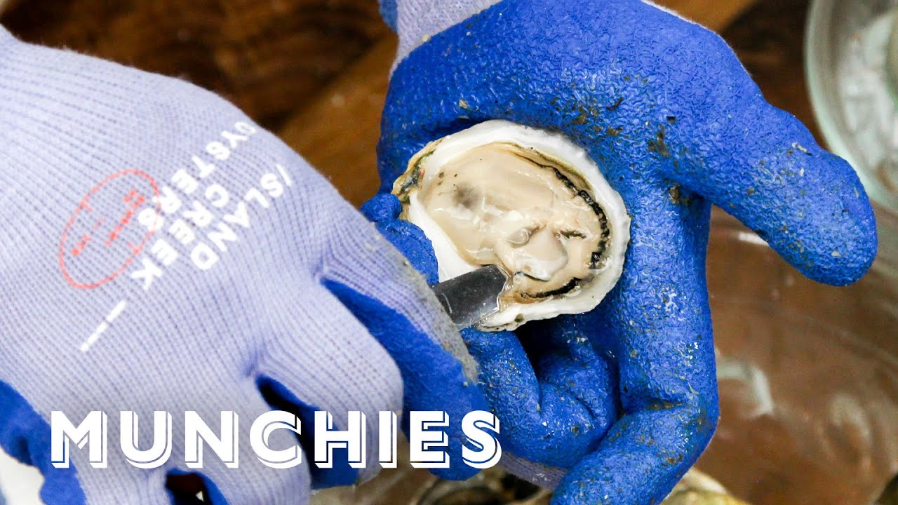 Oysters And Clams - Everything You Need To Know | Munchies