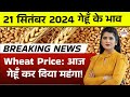 Aaj Ka Gehu Ka Bhav 30 April 2024. गेहूँ के मंडी भाव में तेजी, गेहूँ का भाव कितना बढ़ेगा ,wheat rate