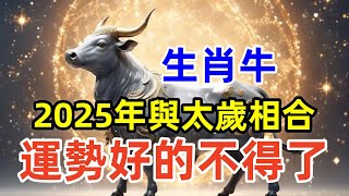 生肖牛：在2025年與太歲相合，運勢好的不得了，2025年將迎來諸多機遇和好運。如何在新的一年裡充分利用這一良好的運勢。