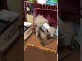 犬用車椅子　ペットベリー