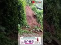 കള്ളാർ പുഞ്ചക്കരയിൽ മരം കടപുഴകി