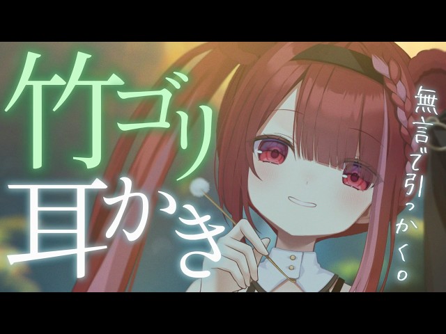 【ASMR/3Dio】竹耳かきで表面についた耳垢をゴリゴリ。極上の耳掃除。至極の耳掃除。睡眠┆囁き┆Earcleaning┆Vtuber【星めぐり学園/切熊ゆに】