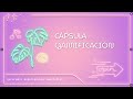 Cápsula de Aprendizaje: Gamificación