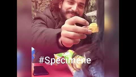 Voi ce ați fi făcut in locul băiatului?  #Specimene