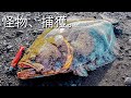 巨大ヒラメを釣ったルアーと釣り方【ヒラメ釣り】