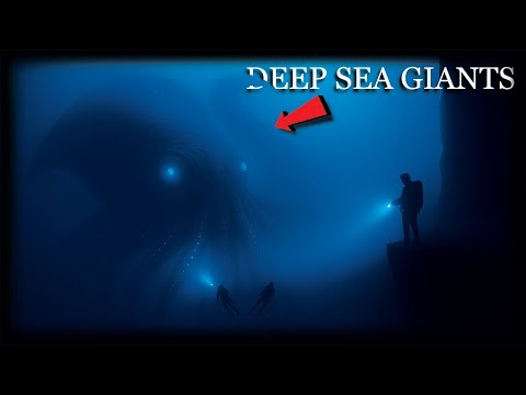 4+ Hours of Mysterious Deep Sea Giants Science Can’t Explain