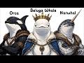 Explained: The Smartest Whales In The Ocean