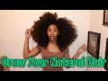 Top 3 Tips to Grow ALL Natural Hair FAST & LONG + How I Pick Out My Afro | Marquita Sherice