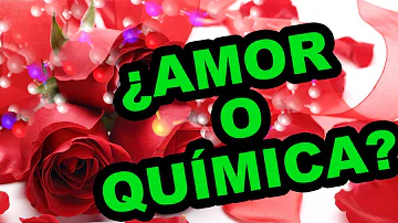 ¿Puede la química convertirse en amor?