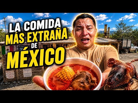 The Strangest Food in Mexico 🇲🇽🐀