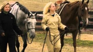 Bodycovers Coveralls For Women