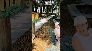 Wild Florida Park gives visitors a glimpse of what it’s like to explore the wild side of Florida!