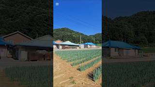다시 일상으로...
