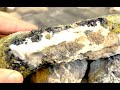 SECRET collecting rocks with HIDDEN CRYSTAL