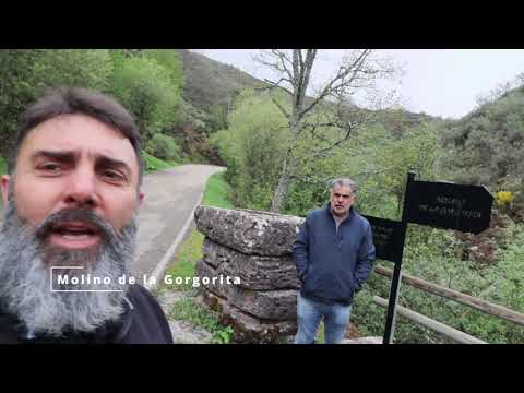 Video: Encantador molino de agua en Corwen, Gales del Norte adornado con elementos rústicos