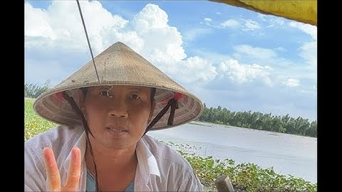 Sáng nay trời giống lập đông nhưng jo ra đồng nắng quá