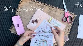 30 Cash Stuffing Savings Challenge Bundle Printable Tracker Sets PDF A6 Binder Insert Envelopes Card