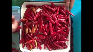 chili color sorter/colour sorting machine chili processing machine