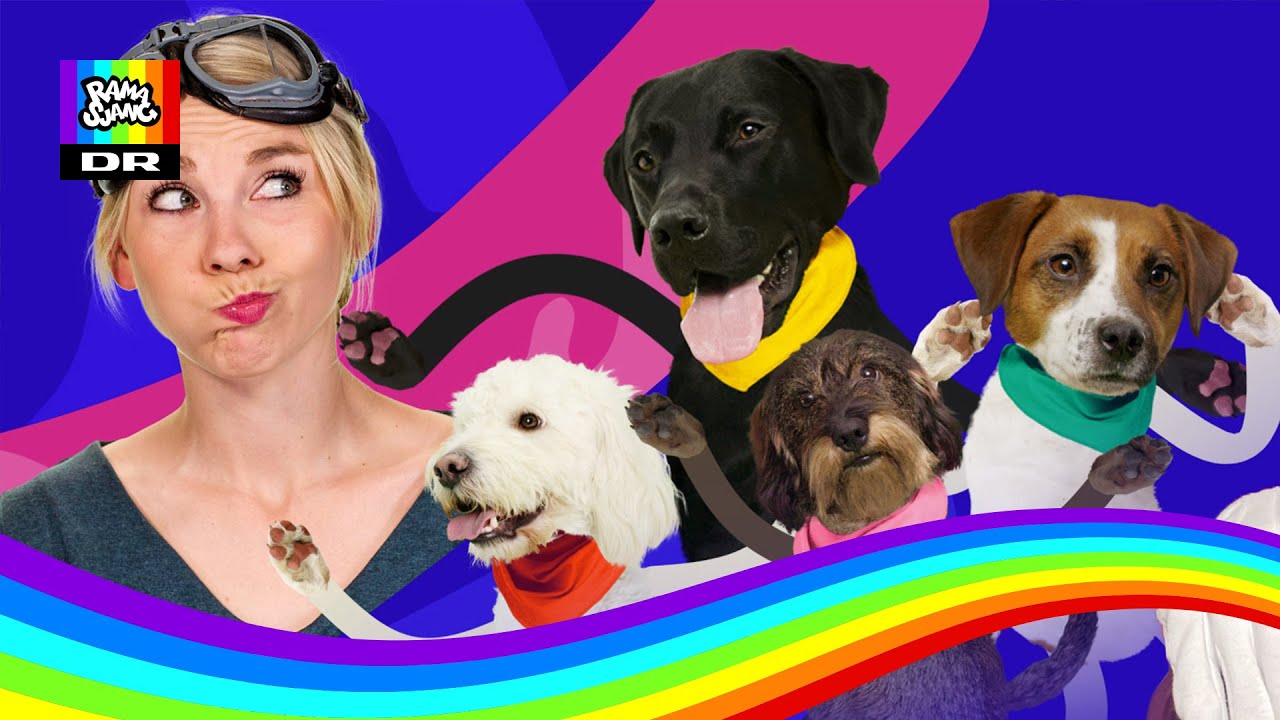 Dansemix: Hundebanden - Vi'vild og vovli!