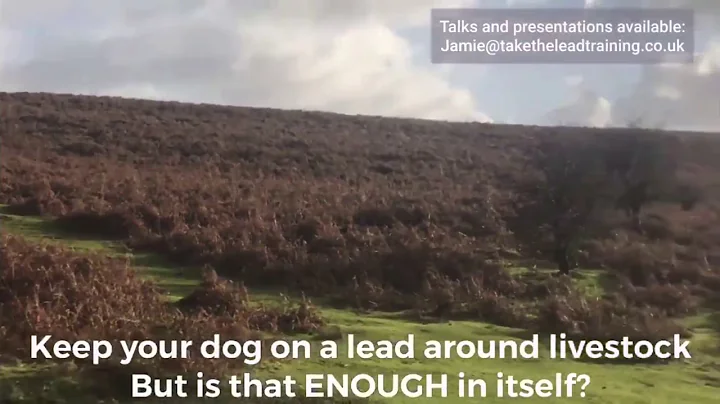 Jamie Penrith explains why simply keeping dogs on a lead will not stop dogs chasing livestock.