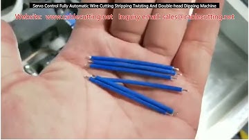 Servo Control Fully Automatic Wire Cutting Stripping Twisting And Double head Dipping Machine