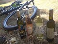 Wine &amp; Bike Tour Erdut 2020
