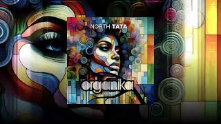 North - Tata (Official Audio)