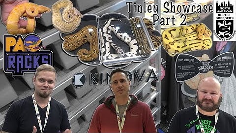 NARBC Tinley Park March 2022 Part 2 Showcase feat. KINOVA, Best Dressed Balls & PAC Racks!!!