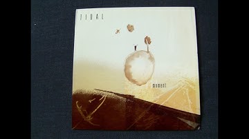 Tidal - Moment LP