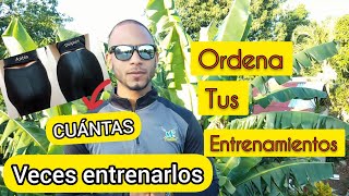 Cuántas veces entrenar  Glúteos por semana y como combinarlos con otros Grupos Musculares screenshot 5