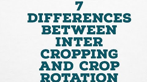 7 DIFFERENCES BETWEEN INTER CROPPING AND CROP ROTATION