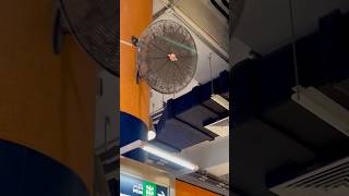 Very dirty Wing Ton FW63XA high velocity industrial/commercial wall fans