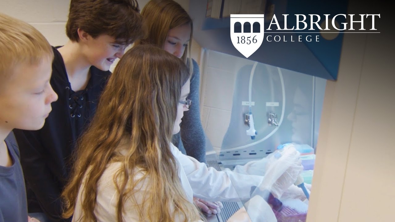 Albright College Science Research Institute YouTube
