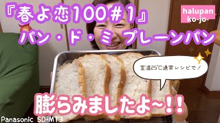 ふわもち☆成功『春よ恋100＃1』パン・ド・ミ【ホームベーカリー】