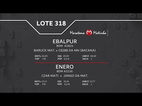 LOTE 318 Maratona Matinha