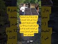 يقال أن هذا الرجل إستغرق سنوات في كتابة المصحف الكريم اكسبلور اقنباسات 100 الله ترند معلومات لايك