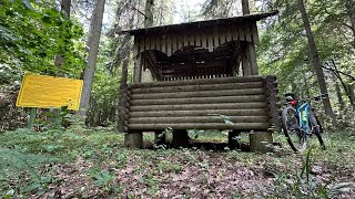 Насаждение лиственницы, Малая Своротва, урочище Пониква, озеро Своротва