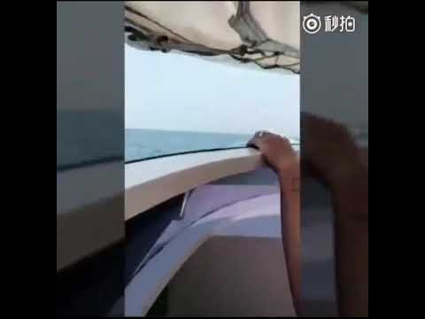 【鍾易軒影片】