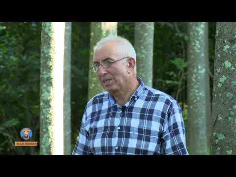 მე ვ არ ფერმერი/me var fermeri - როგორ გავაშენოთ პავლონია?