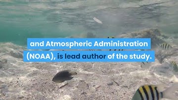 The Ozone Layer is healing, new study finds