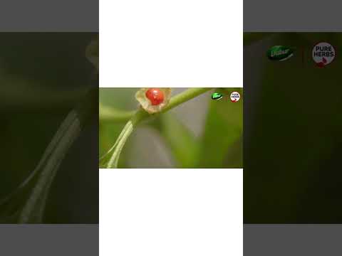 60