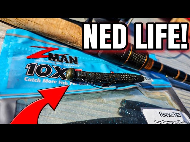 Good morning everyone! Been getting some questions about the Double D,  here's a quick video about some of the nuances of the bait. Enjoy!  #speckledtruth