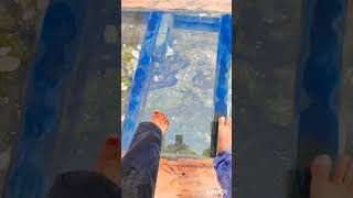 darjeeling skywalk bridge | skywalk bridge status | #skywalkbridge #darjeeling #bijanbari #balwabas