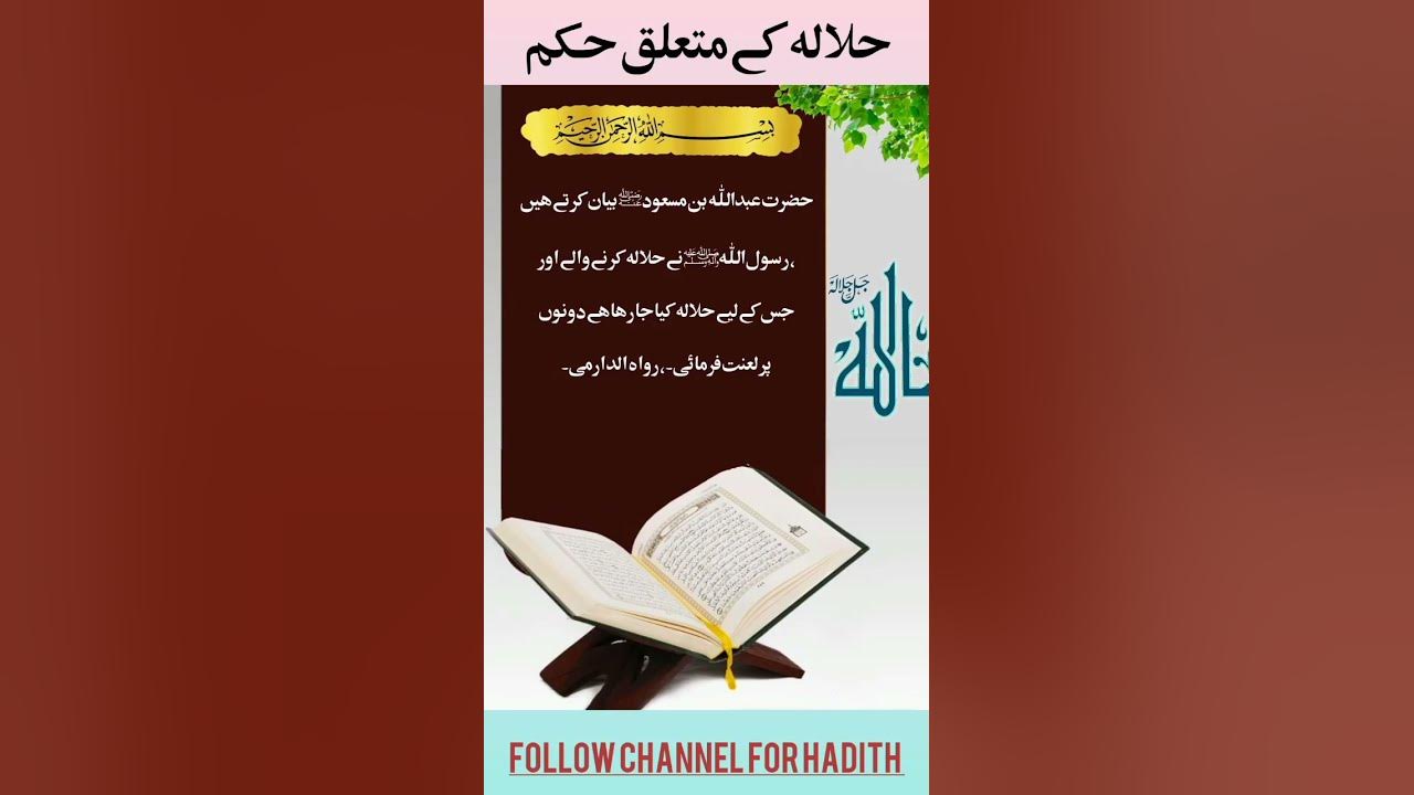 halala-haram-hy-islam-officials-islamic-status-islamic-videos