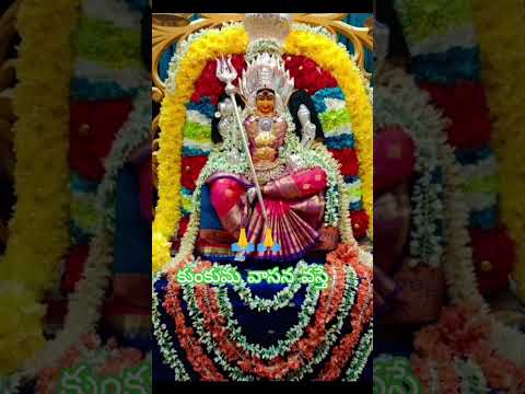 క క మ వ సన వస త Maraculousrenafane