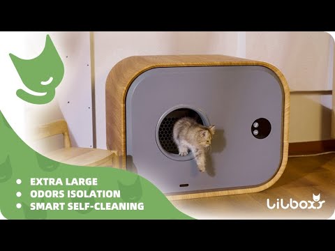 Now on Kickstarter: Lilboxy Max: Extra Large Smart Self-Cleaning Cat Litter Box