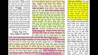 דף יומי מסכת ביצה דף מ Daf yomi Beitzah daf 40 סיום מסכת ‼️🌺