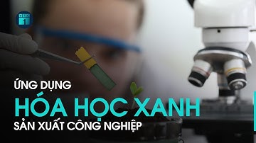 Hóa học xanh trong sản xuất công nghiệp: Thách thức và giải pháp | VTC1