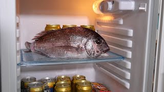 冷蔵庫に魚を放置するだけで旨くなると聞いたので放置してみた結果がコレ！